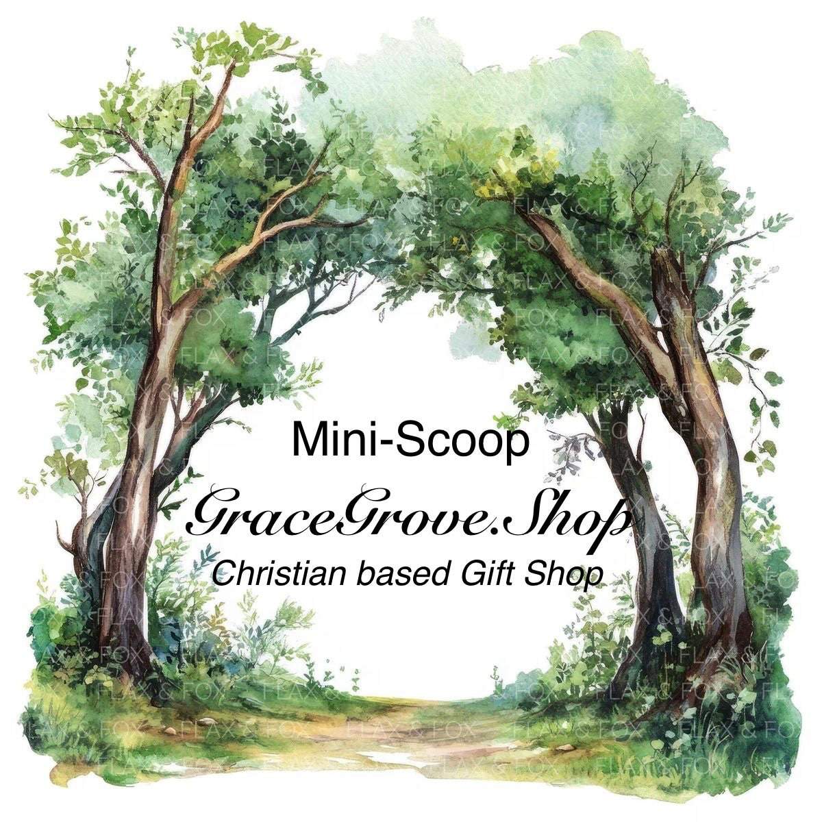 1-Mystery Mini Scoop
